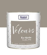 436235 - Peinture Velours - Gris sublim