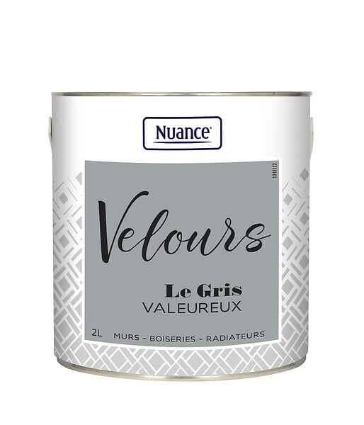453922 - Peinture Velours - Gris valeur