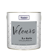 453922 - Peinture Velours - Gris valeur