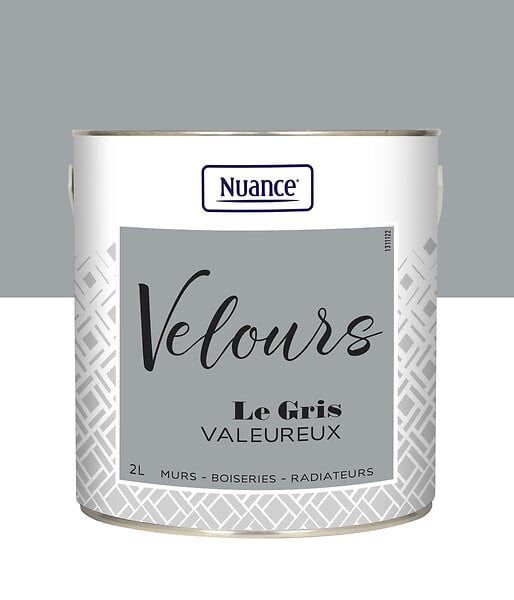 453922 - Peinture Velours - Gris valeur