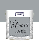 453922 - Peinture Velours - Gris valeur
