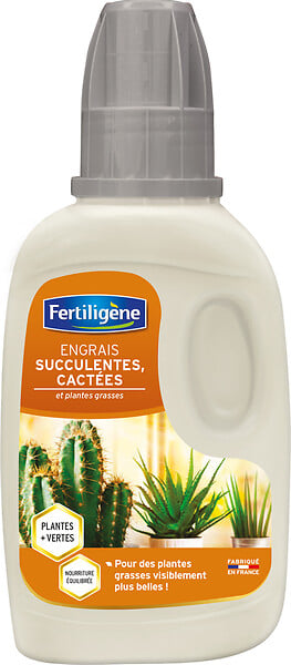 3121970171594 - Engrais liquide cactÃ©es. succ