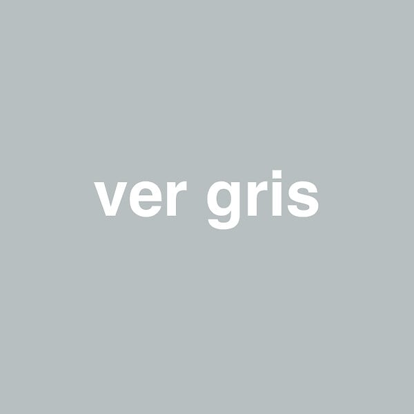 3505391055921 - Peinture MonoCrÃ¨me - Ver gris