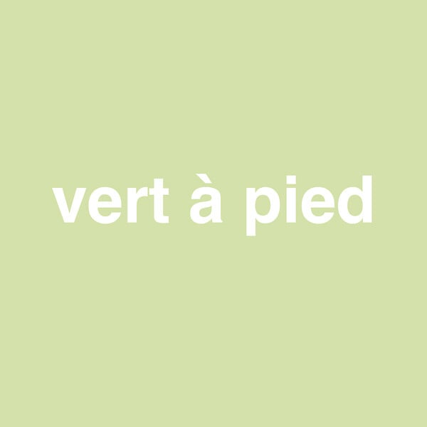 H17340-0L5 - Peinture bicouche - Vert Ã  pi