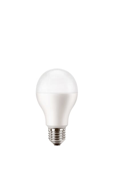 Ampoule LED E27 Standard - Dépolie - Blanc froid - 2700K - 100W