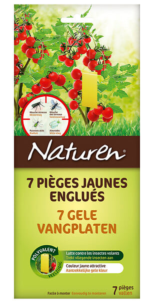 NPJAUNE - PiÃ¨ges jaunes engluÃ©s x7