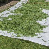 Bache ramasse déchets RIBIMEX VERTS 2x2m 4 poignées