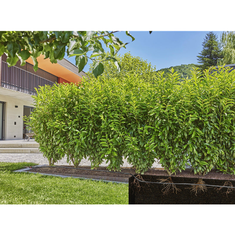 Kit d’initiation 25 m de tuyau à goutteurs incorporés et bouchon fin de ligne GARDENA 13502-26