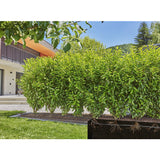 Kit d’initiation 25 m de tuyau à goutteurs incorporés et bouchon fin de ligne GARDENA 13502-26