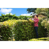 Taille-haies RYOBI RHT5655RS 550W lame 55cm