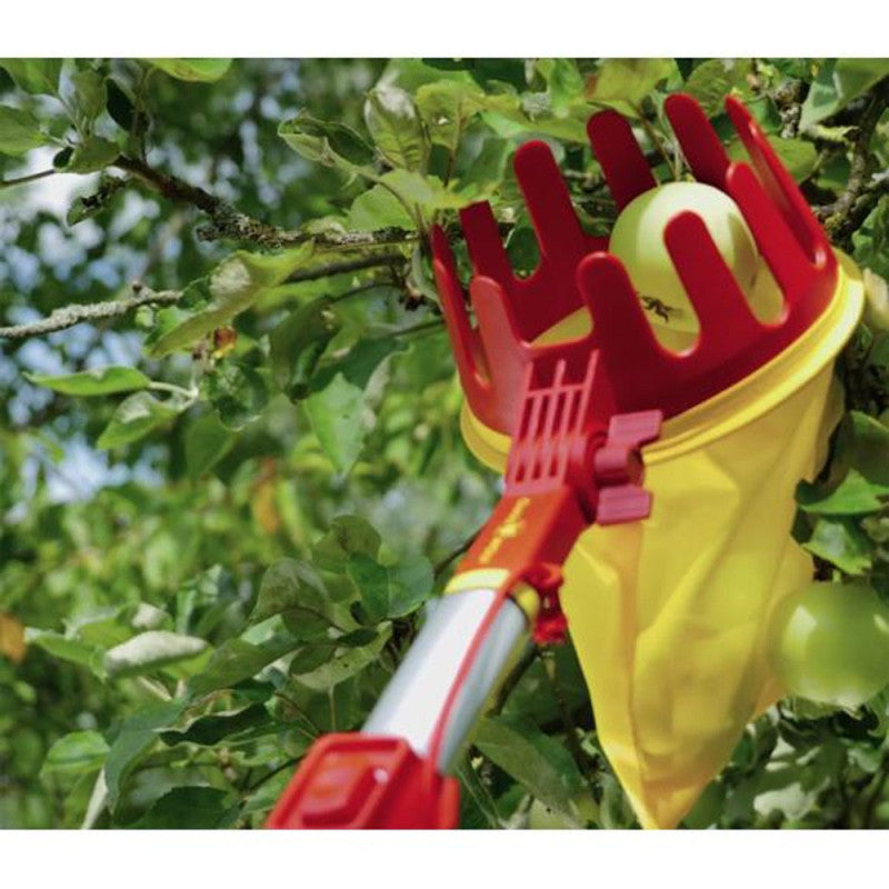 Cueille-fruits OUTILS WOLF SBM (manche interchangeable) - Multistar