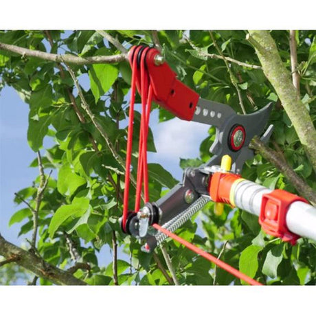 Echenilloir orientable à coupe franche, 36 mm OUTILS WOLF OSVM2 guide corde (manche interchangeable) - Multistar