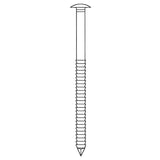 Pointes bombée inox A4 annelé en vrac 1kg NORFIX